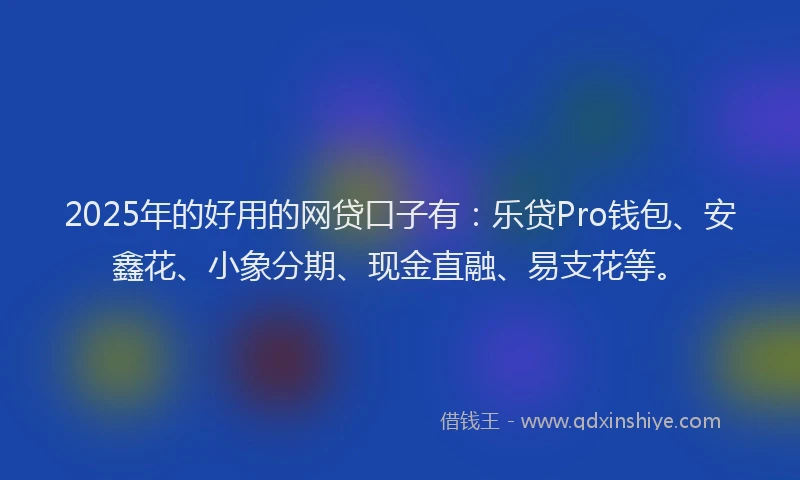 2025年的好用的网贷口子有：乐贷Pro钱包、安鑫花、小象分期、现金直融、易支花等。