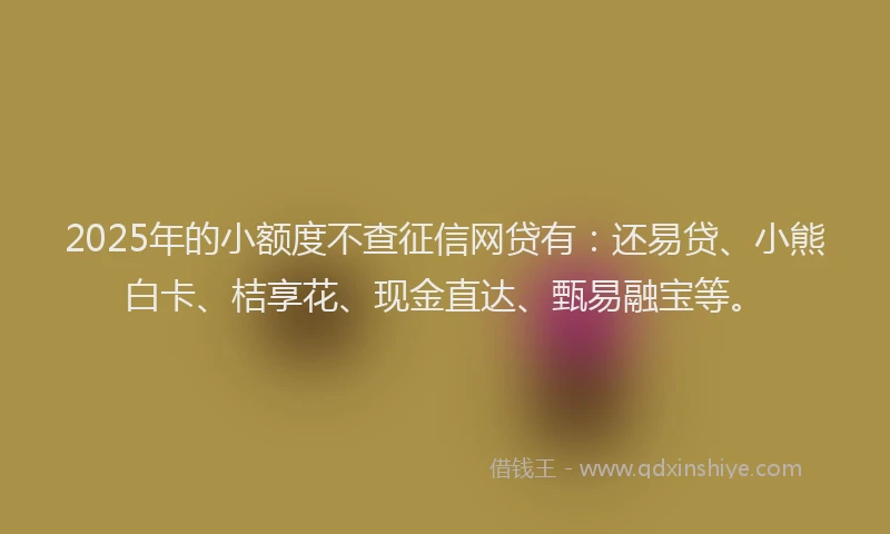 2025年的小额度不查征信网贷有：还易贷、小熊白卡、桔享花、现金直达、甄易融宝等。
