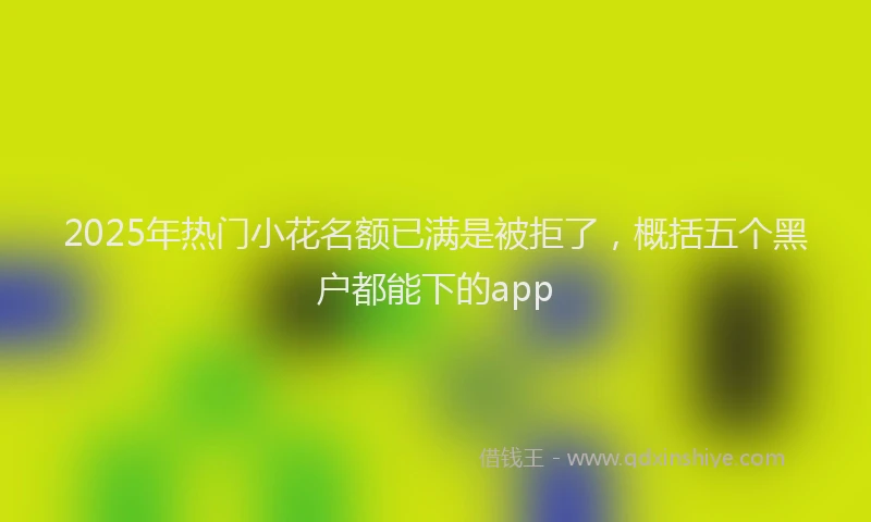 2025年热门小花名额已满是被拒了，概括五个黑户都能下的app