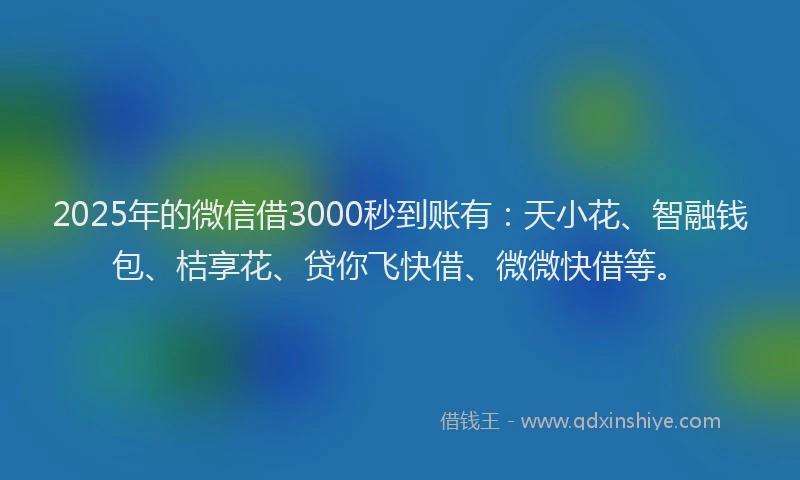 2025年的微信借3000秒到账有：天小花、智融钱包、桔享花、贷你飞快借、微微快借等。
