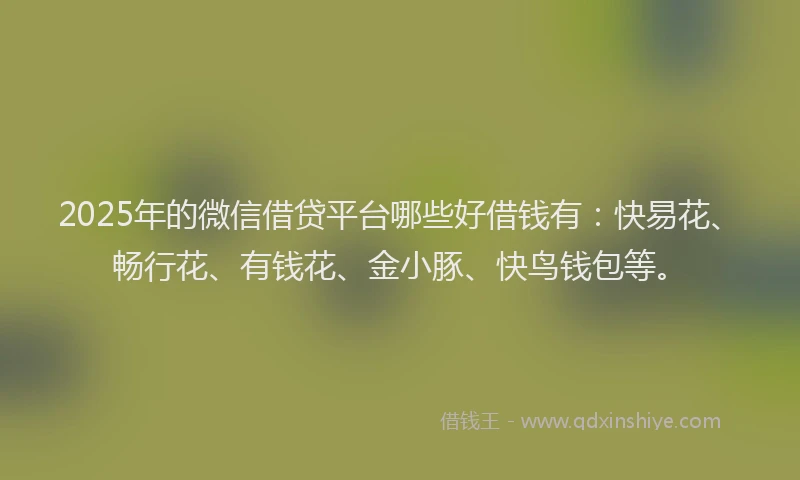 2025年的微信借贷平台哪些好借钱有：快易花、畅行花、有钱花、金小豚、快鸟钱包等。