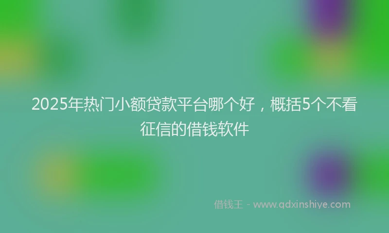 2025年热门小额贷款平台哪个好，概括5个不看征信的借钱软件