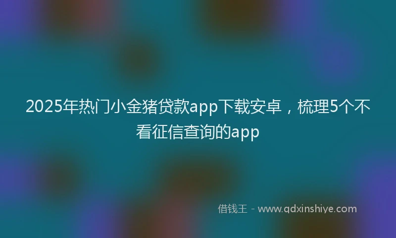 2025年热门小金猪贷款app下载安卓，梳理5个不看征信查询的app