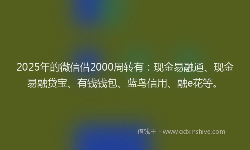 2025年的微信借2000周转有：现金易融通、现金易融贷宝、有钱钱包、蓝鸟信用、融e花等。