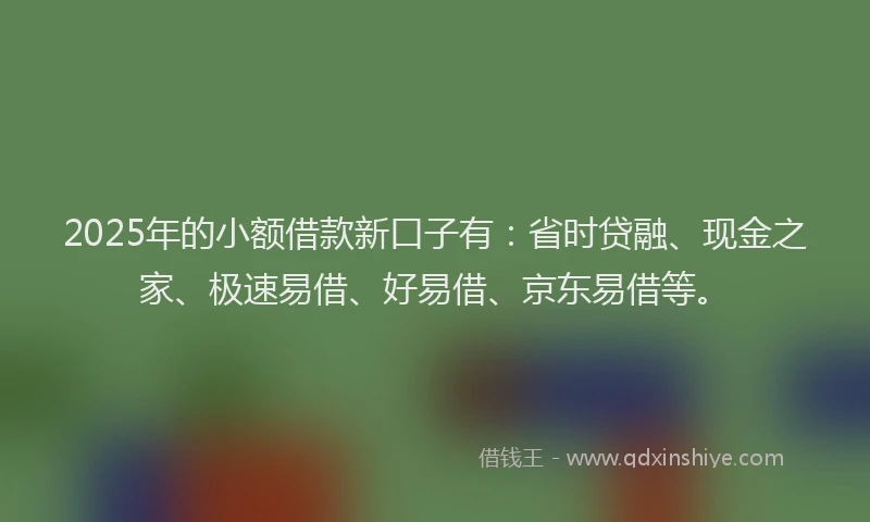 2025年的小额借款新口子有：省时贷融、现金之家、极速易借、好易借、京东易借等。