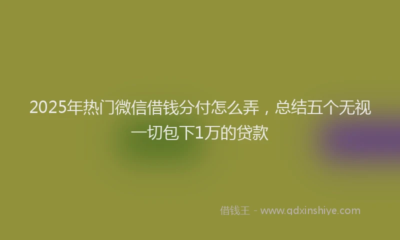 2025年热门微信借钱分付怎么弄，总结五个无视一切包下1万的贷款