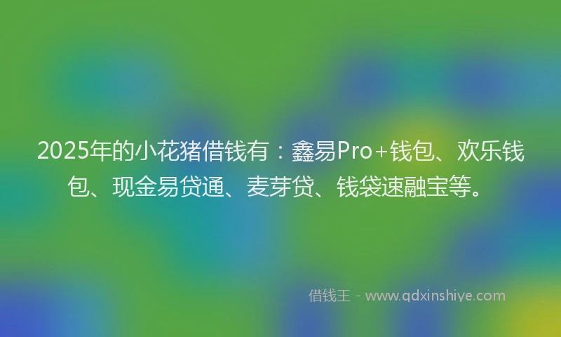 2025年的小花猪借钱有：鑫易Pro+钱包、欢乐钱包、现金易贷通、麦芽贷、钱袋速融宝等。