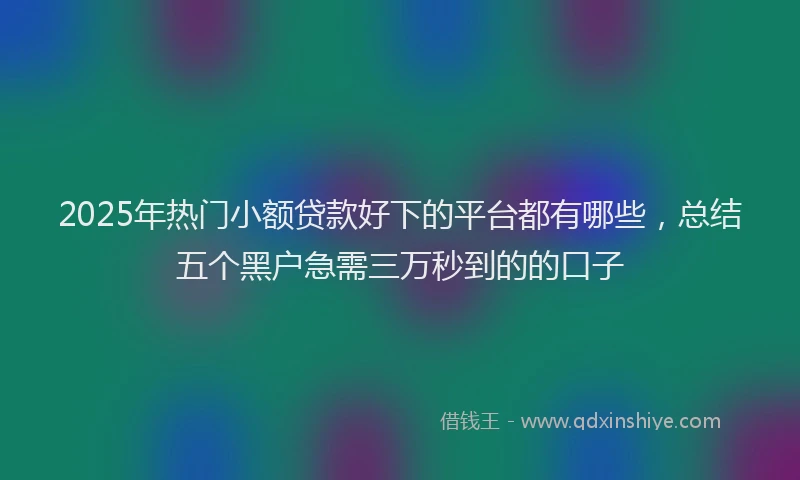 2025年热门小额贷款好下的平台都有哪些，总结五个黑户急需三万秒到的的口子