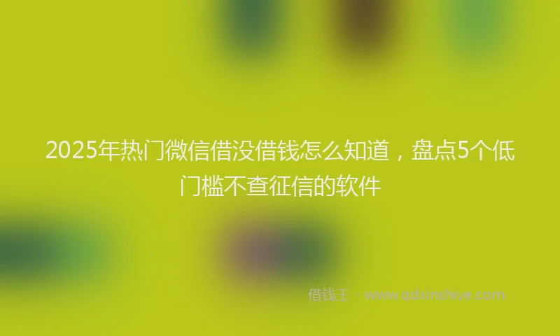 2025年热门微信借没借钱怎么知道，盘点5个低门槛不查征信的软件