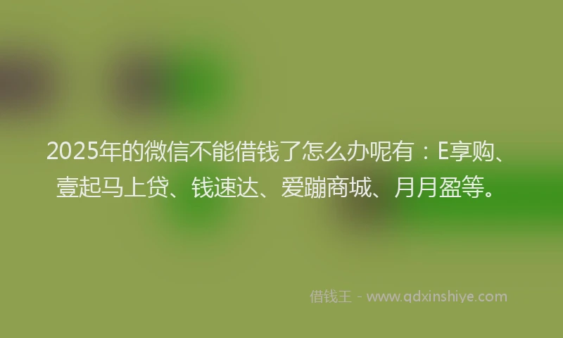 2025年的微信不能借钱了怎么办呢有：E享购、壹起马上贷、钱速达、爱蹦商城、月月盈等。