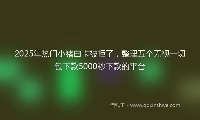 2025年热门小猪白卡被拒了，整理五个无视一切包下款5000秒下款的平台
