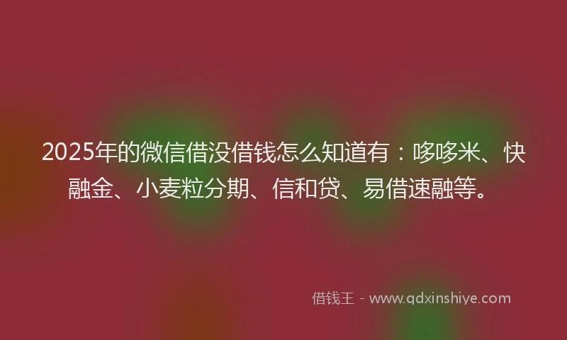2025年的微信借没借钱怎么知道有：哆哆米、快融金、小麦粒分期、信和贷、易借速融等。