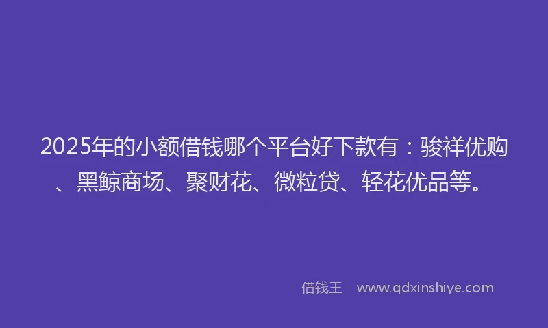 2025年的小额借钱哪个平台好下款有：骏祥优购、黑鲸商场、聚财花、微粒贷、轻花优品等。