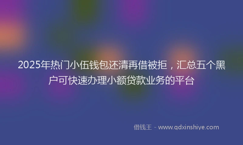2025年热门小伍钱包还清再借被拒，汇总五个黑户可快速办理小额贷款业务的平台