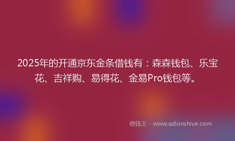2025年的开通京东金条借钱有：森森钱包、乐宝花、吉祥购、易得花、金易Pro钱包等。