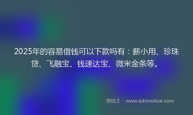 2025年的容易借钱可以下款吗有：薪小用、珍珠贷、飞融宝、钱速达宝、微米金条等。