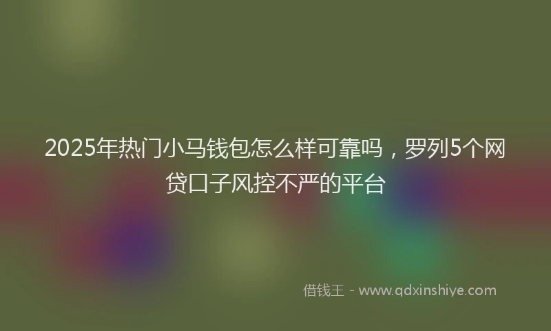 2025年热门小马钱包怎么样可靠吗，罗列5个网贷口子风控不严的平台