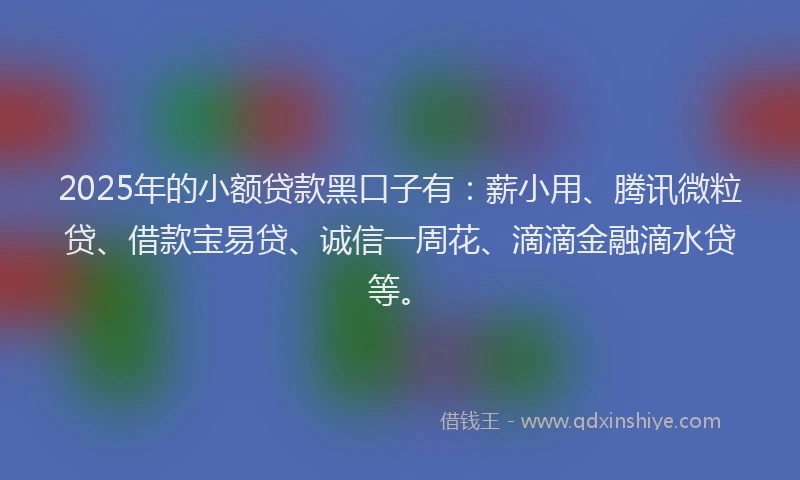 2025年的小额贷款黑口子有：薪小用、腾讯微粒贷、借款宝易贷、诚信一周花、滴滴金融滴水贷等。