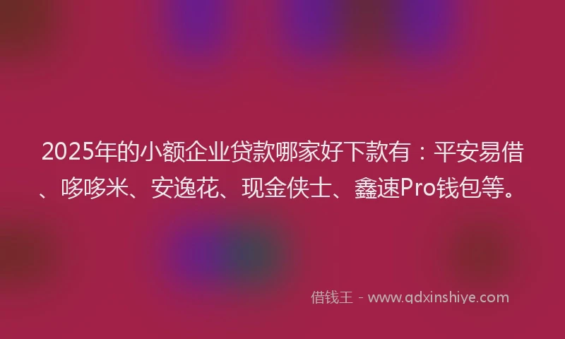 2025年的小额企业贷款哪家好下款有：平安易借、哆哆米、安逸花、现金侠士、鑫速Pro钱包等。