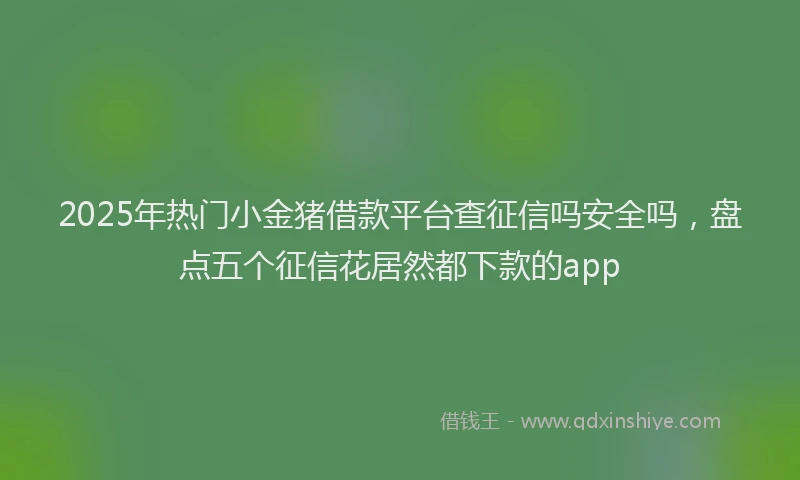 2025年热门小金猪借款平台查征信吗安全吗，盘点五个征信花居然都下款的app