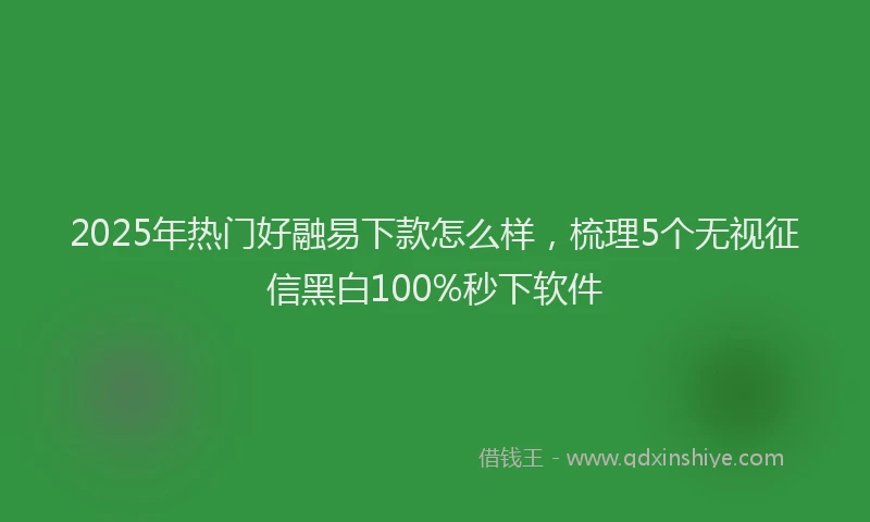 2025年热门好融易下款怎么样，梳理5个无视征信黑白100%秒下软件