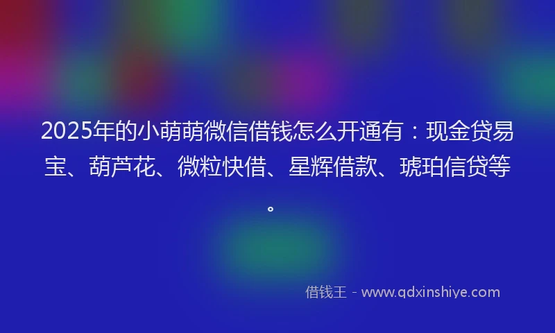 2025年的小萌萌微信借钱怎么开通有：现金贷易宝、葫芦花、微粒快借、星辉借款、琥珀信贷等。