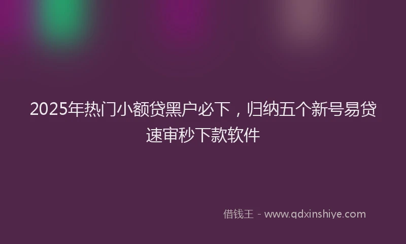 2025年热门小额贷黑户必下，归纳五个新号易贷速审秒下款软件