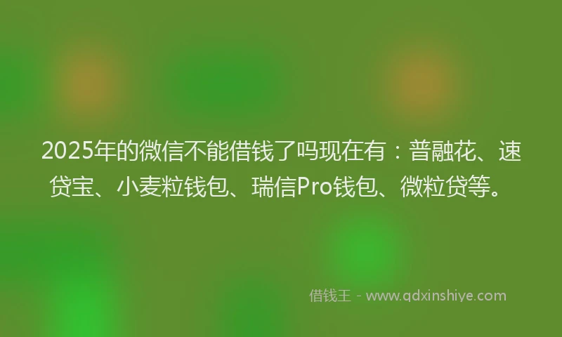 2025年的微信不能借钱了吗现在有：普融花、速贷宝、小麦粒钱包、瑞信Pro钱包、微粒贷等。