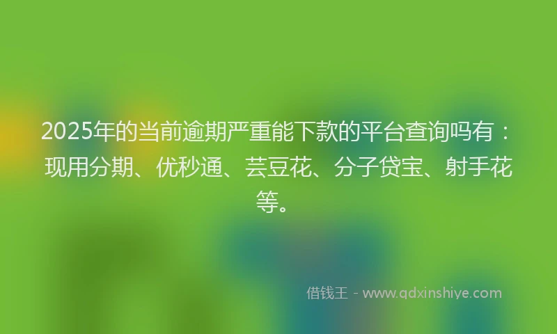 2025年的当前逾期严重能下款的平台查询吗有：现用分期、优秒通、芸豆花、分子贷宝、射手花等。