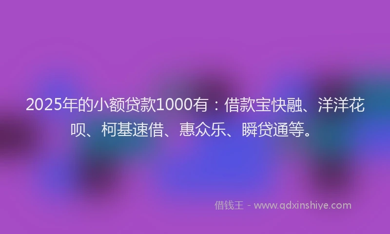 2025年的小额贷款1000有：借款宝快融、洋洋花呗、柯基速借、惠众乐、瞬贷通等。