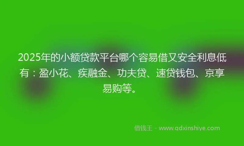 2025年的小额贷款平台哪个容易借又安全利息低有：盈小花、疾融金、功夫贷、速贷钱包、京享易购等。
