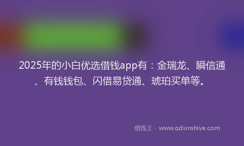 2025年的小白优选借钱app有：金瑞龙、瞬信通、有钱钱包、闪借易贷通、琥珀买单等。