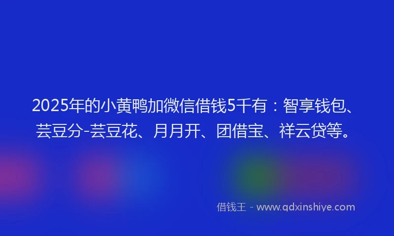 2025年的小黄鸭加微信借钱5千有：智享钱包、芸豆分-芸豆花、月月开、团借宝、祥云贷等。