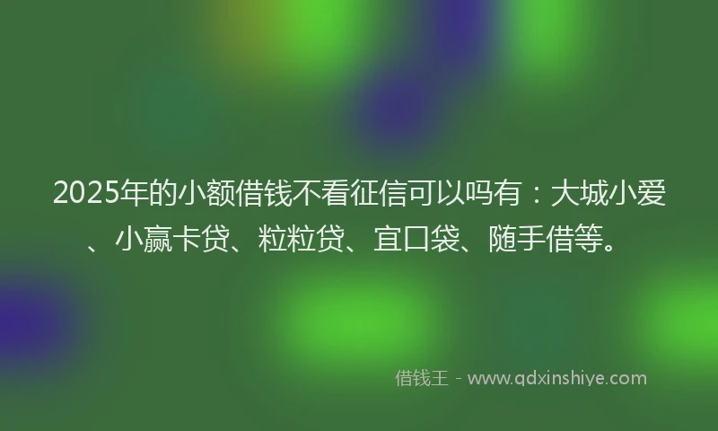2025年的小额借钱不看征信可以吗有：大城小爱、小赢卡贷、粒粒贷、宜口袋、随手借等。