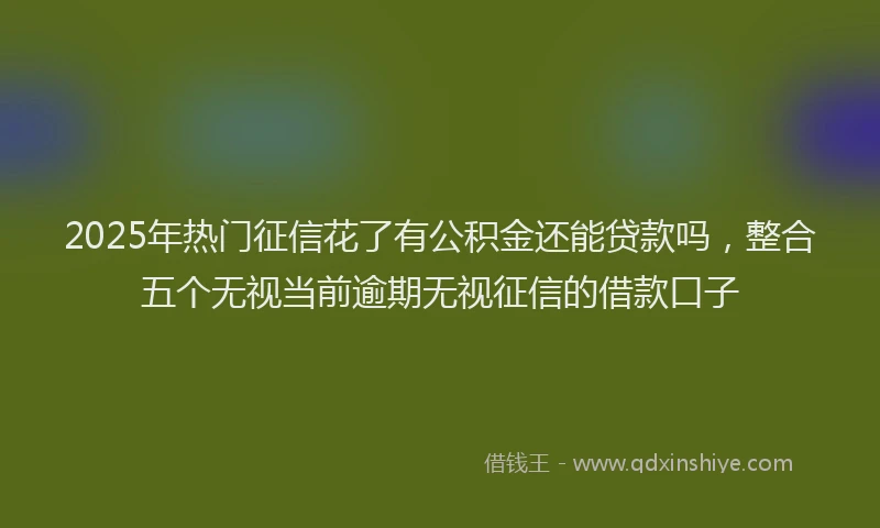 2025年热门征信花了有公积金还能贷款吗，整合五个无视当前逾期无视征信的借款口子