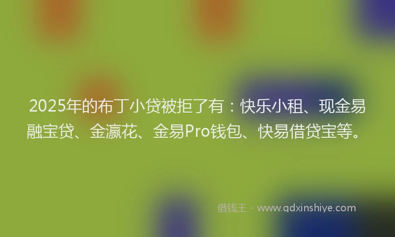 2025年的布丁小贷被拒了有：快乐小租、现金易融宝贷、金瀛花、金易Pro钱包、快易借贷宝等。