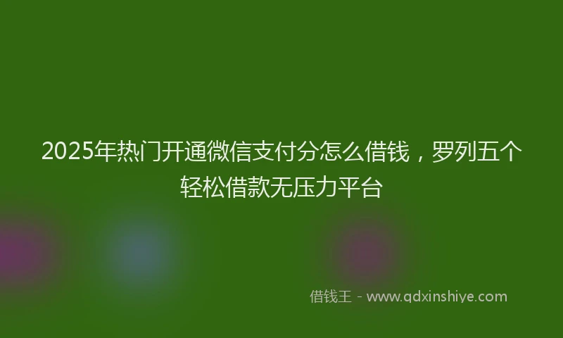 2025年热门开通微信支付分怎么借钱，罗列五个轻松借款无压力平台