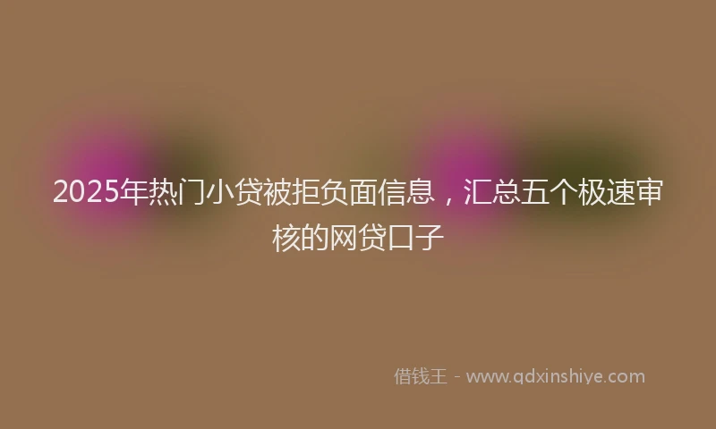 2025年热门小贷被拒负面信息，汇总五个极速审核的网贷口子
