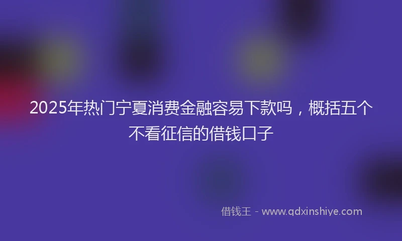 2025年热门宁夏消费金融容易下款吗，概括五个不看征信的借钱口子