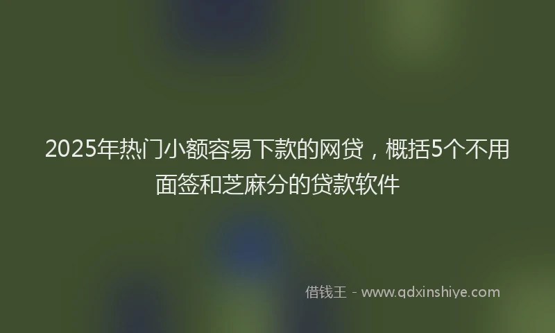 2025年热门小额容易下款的网贷，概括5个不用面签和芝麻分的贷款软件