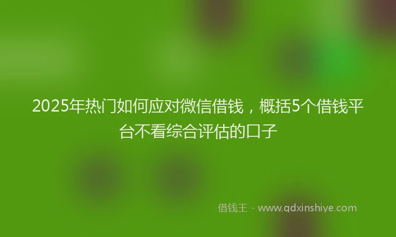 2025年热门如何应对微信借钱，概括5个借钱平台不看综合评估的口子