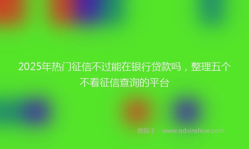 2025年热门征信不过能在银行贷款吗，整理五个不看征信查询的平台