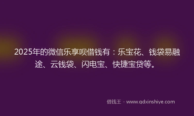 2025年的微信乐享呗借钱有：乐宝花、钱袋易融途、云钱袋、闪电宝、快捷宝贷等。