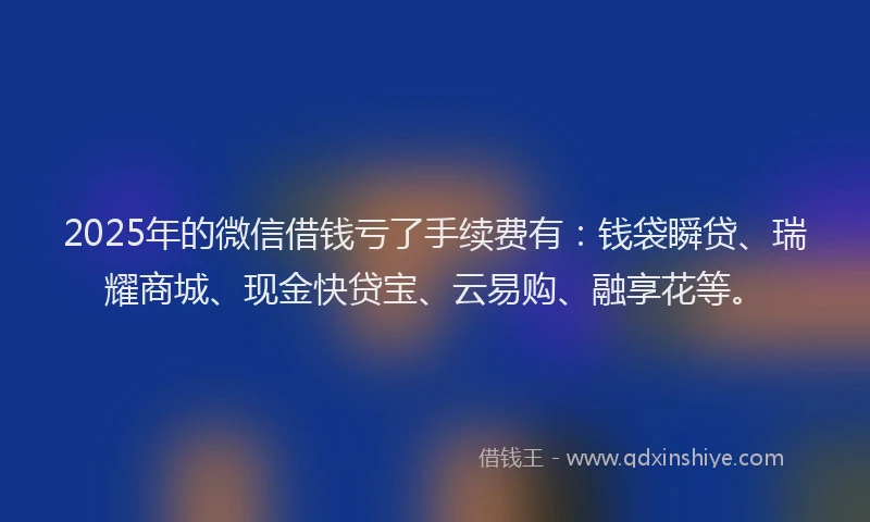2025年的微信借钱亏了手续费有：钱袋瞬贷、瑞耀商城、现金快贷宝、云易购、融享花等。