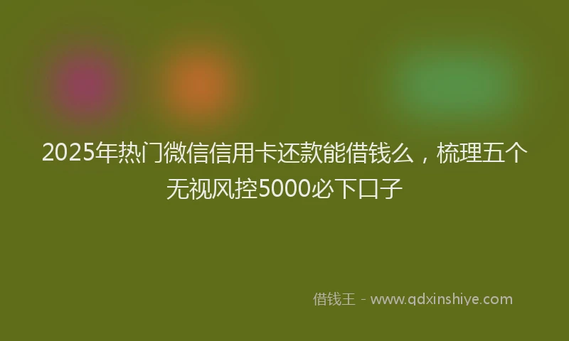 2025年热门微信信用卡还款能借钱么，梳理五个无视风控5000必下口子