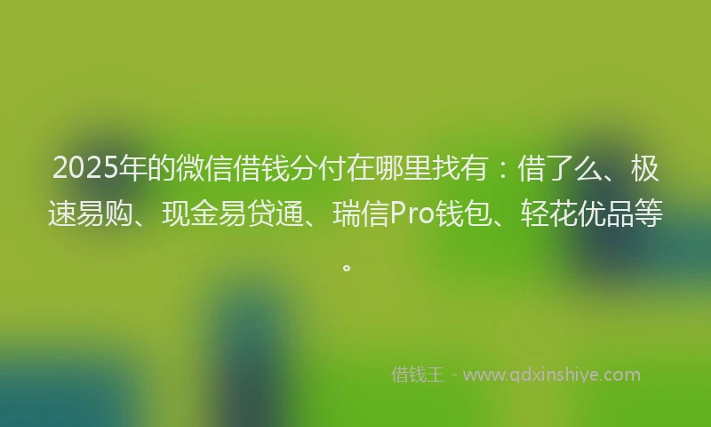 2025年的微信借钱分付在哪里找有：借了么、极速易购、现金易贷通、瑞信Pro钱包、轻花优品等。