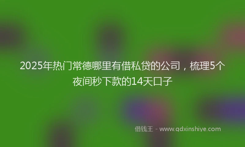 2025年热门常德哪里有借私贷的公司，梳理5个夜间秒下款的14天口子