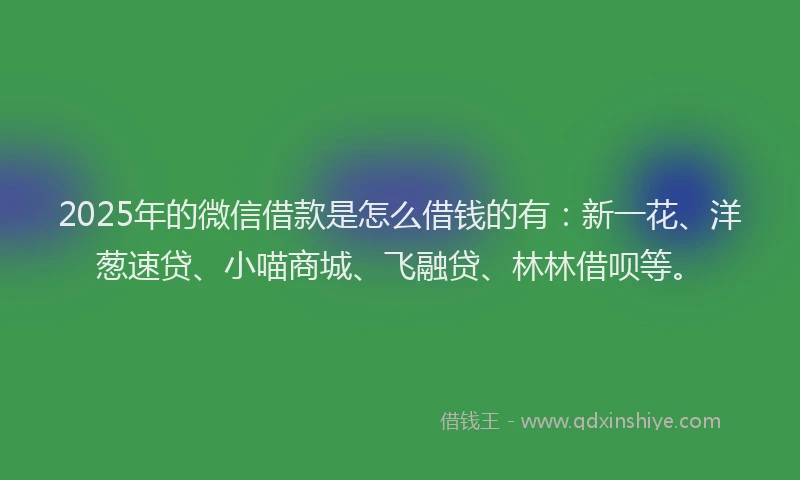 2025年的微信借款是怎么借钱的有：新一花、洋葱速贷、小喵商城、飞融贷、林林借呗等。
