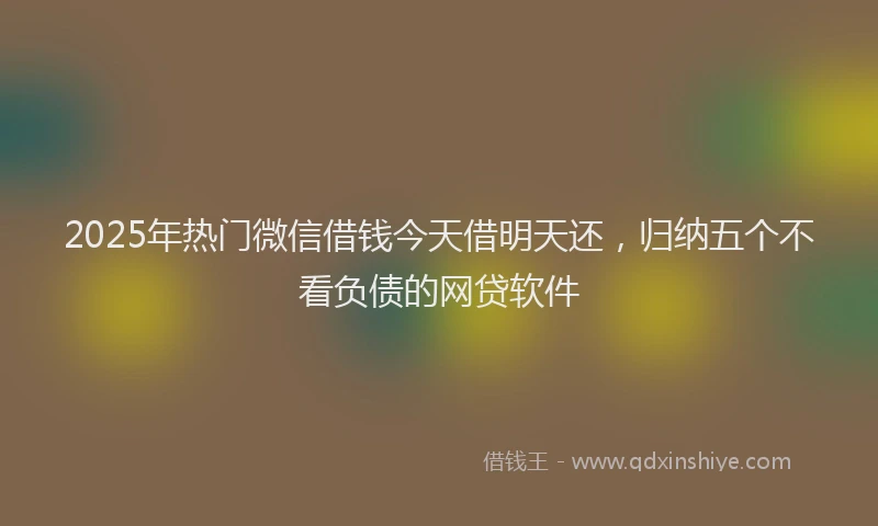 2025年热门微信借钱今天借明天还，归纳五个不看负债的网贷软件