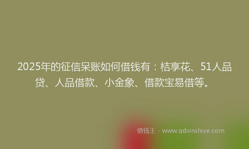2025年的征信呆账如何借钱有：桔享花、51人品贷、人品借款、小金象、借款宝易借等。